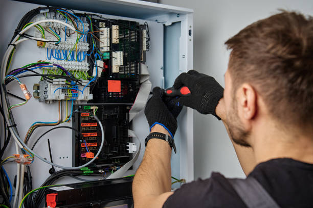 Licensed Electrical Panel Upgrade service in Roselle, IL - No Joke electrician